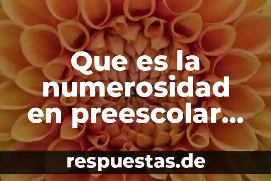 Que es el numero y para que sirve en preescolar 4 Que es la numerosidad en preescolar pensamiento matematico