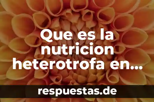 Qué es un número cabalístico 7 Que es la nutricion heterotrofa en biologia