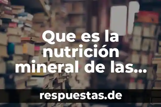 Qué es energía en nutricion animal 3 Que es la nutrición mineral de las plantas
