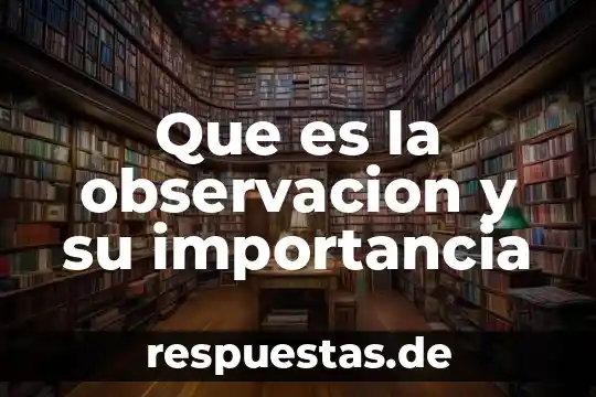Qué es el interés observación del proceso escolar 7 Que es la observacion y su importancia