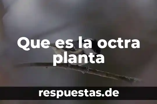 Que es librabza en la planta de emergencia 6 Que es la octra planta