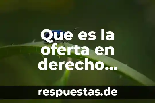 Que es la ley de sociedad mercantil 3 Que es la oferta en derecho mercantil