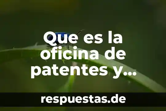Que es son marcas de pago 6 Que es la oficina de patentes y marcas