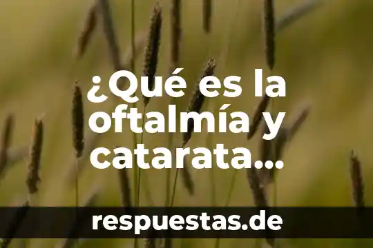 Qué es una señal eléctrica cuadrada 4 ¿Qué es la oftalmía y catarata eléctrica?