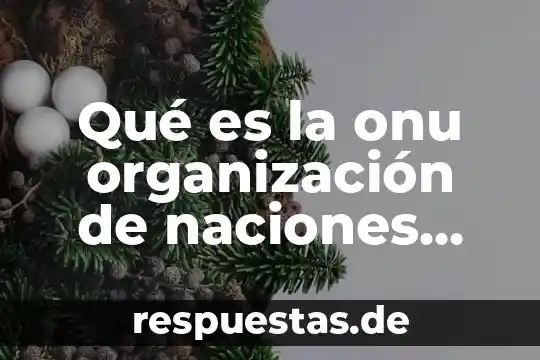 Qué es la onu organización de naciones unidas