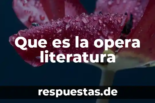 Que es opera concepto 6 Que es la opera literatura