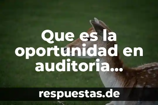 Que es la oportunidad en auditoria administrativa