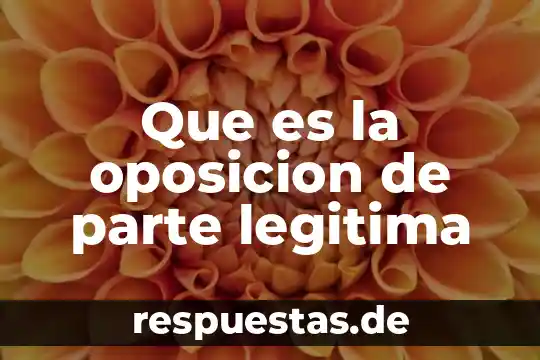 Que es ser parte de una sociedad 8 Que es la oposicion de parte legitima