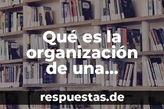 Qué es la organización de una empresa
