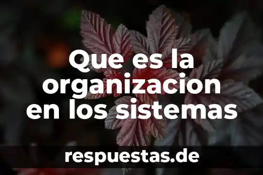 Qué es un manual de organización tesis 7 Que es la organizacion en los sistemas