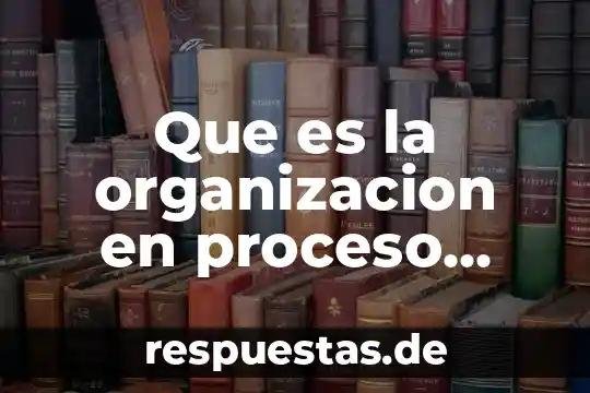Que es la organizacion en proceso administrativo