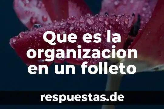 Qué es organización 7 Que es la organizacion en un folleto