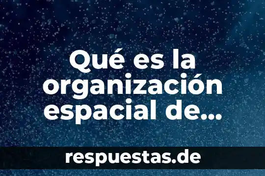 Qué es la organización espacial de poder