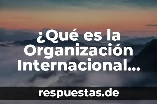 ¿Qué es la Organización Internacional de Comercio OIC?