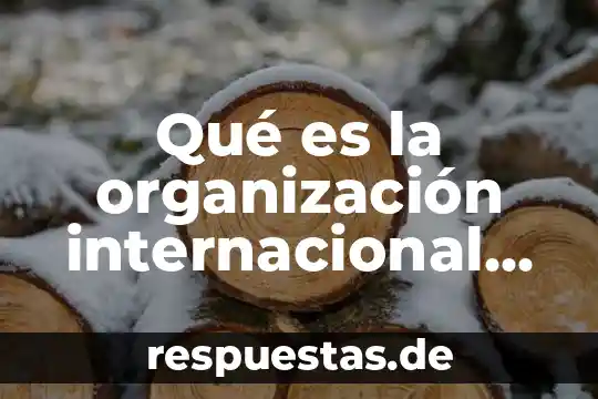 Qué es organización 6 Qué es la organización internacional del trabajo