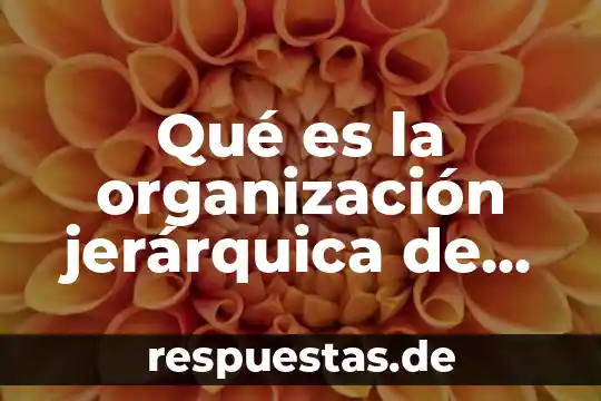 Qué es la organización jerárquica de una empresa
