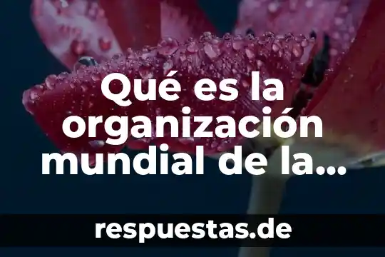 Qué es la sociedad civil organización gubernamental 3 Qué es la organización mundial de la salud