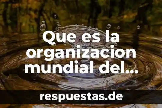 Que es ser guia de turismo 8 Que es la organizacion mundial del turismo