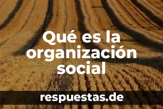 Qué es razón social o número 6 Qué es la organización social