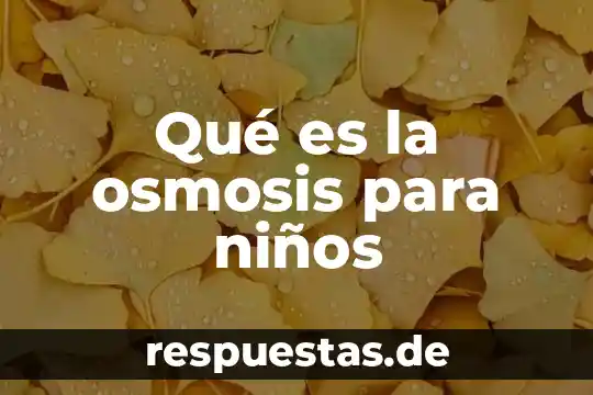 Qué es un estado definición para niños 8 Qué es la osmosis para niños