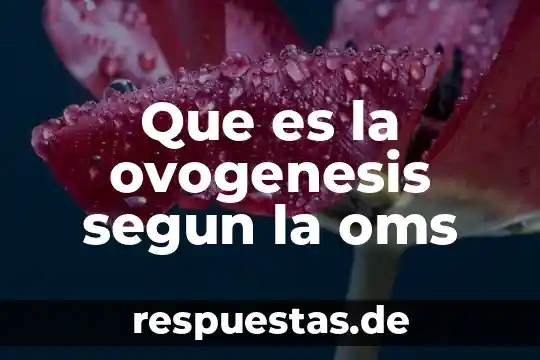 Que es la cultura oms 7 Que es la ovogenesis segun la oms