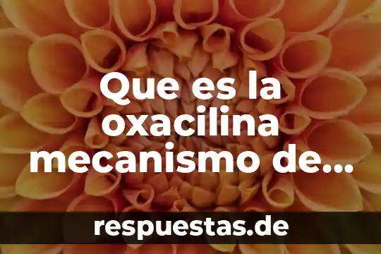 Que es un mecanismo en 8 Que es la oxacilina mecanismo de accion