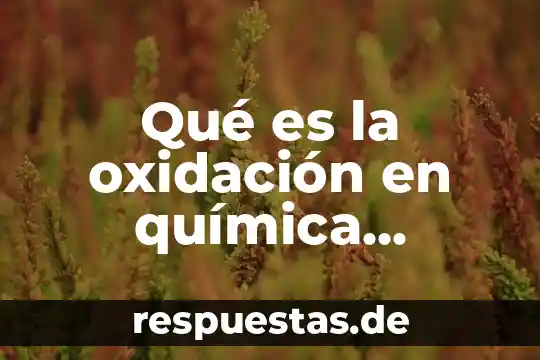 Qué es um imstrumento definición con autor 3 Qué es la oxidación en química definición
