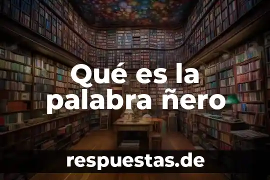 Que es el doble significado dela palabra 4 Qué es la palabra ñero