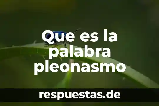Que es la palabra como 5 Que es la palabra pleonasmo