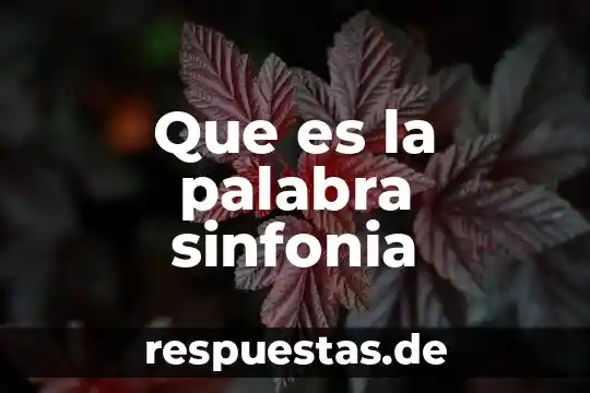 Que es el significado connotativo de una palabra 5 Que es la palabra sinfonia