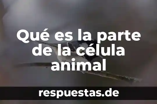 Que es el maltrato animal animado 7 Qué es la parte de la célula animal
