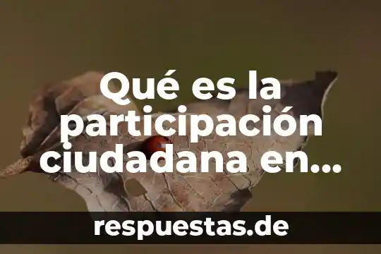 Que es seguridad ciudadana en panama 5 Qué es la participación ciudadana en salud México