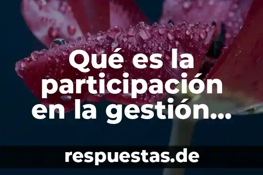 Qué es la participación en la gestión de la escuela