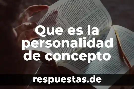 Que es la funcion directiva immegar y pascual 3 Que es la personalidad de concepto