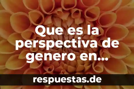 Qué es derecho procesal penal en México 4 Que es la perspectiva de genero en materia penal