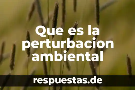 Que es conciencia ambiental ejemplos 4 Que es la perturbacion ambiental