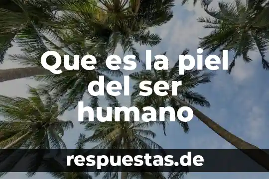 Qué es bueno para la piel irritada 7 Que es la piel del ser humano