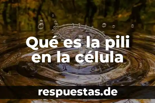 ¿Qué es la célula animal? 3 Qué es la pili en la célula