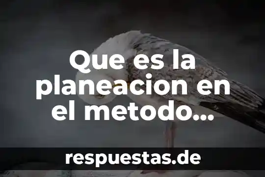 Que es un conocimiento cientifico primaria 3 Que es la planeacion en el metodo cientifico