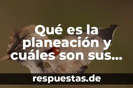 Que es la energia alternativa y cuales son 5 Qué es la planeación y cuáles son sus etapas