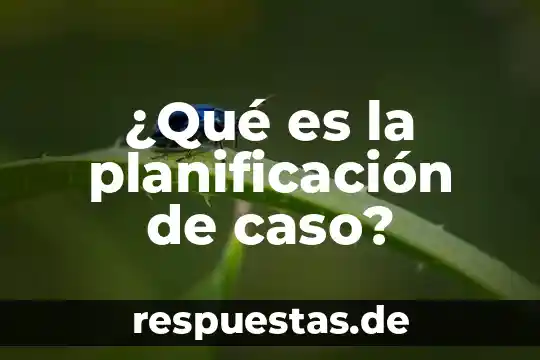 ¿Qué es un operador de ventas en un call center? 5 ¿Qué es la planificación de caso?