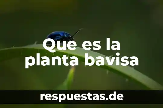 Que es una planta telefónica 8 Que es la planta bavisa