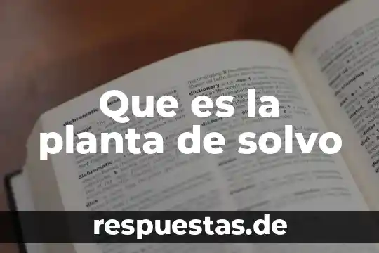 Qué es las espicolas de la planta 3 Que es la planta de solvo