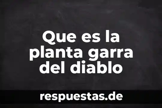 Qué es una planta monocotiledonea ejemplos 6 Que es la planta garra del diablo