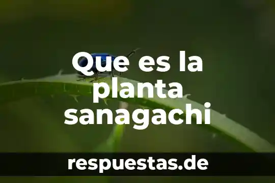 Que es una planta piloto agroindustrial 3 Que es la planta sanagachi