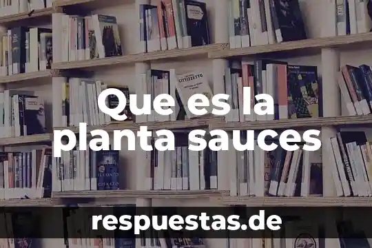 Que es ficha de texto 5 Que es la planta sauces