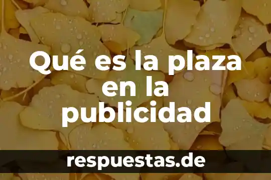 Qué es el número de plaza en un banco 5 Qué es la plaza en la publicidad