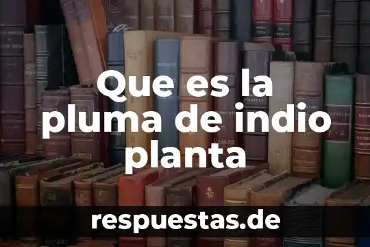 Que es gerencia de planta 8 Que es la pluma de indio planta