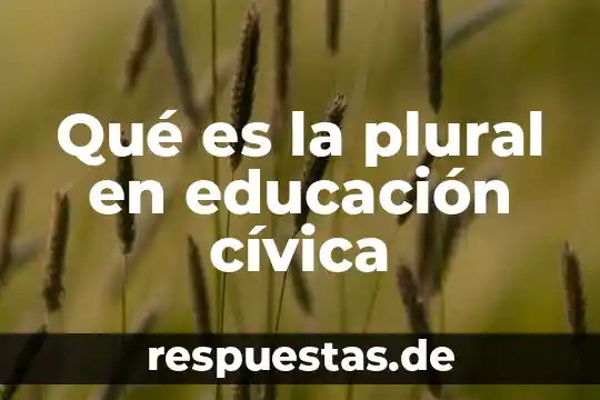 Que es el significado de formacion civica y etica 5 Qué es la plural en educación cívica