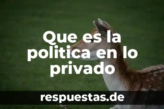 Que es sistema operativo privado concepto 7 Que es la politica en lo privado
